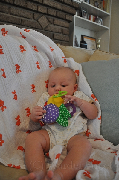 William's Eleventh Week 30.jpg